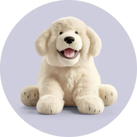 PULL TOYS